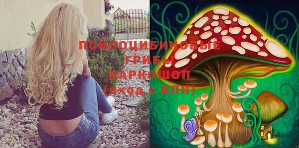 mix Новодвинск