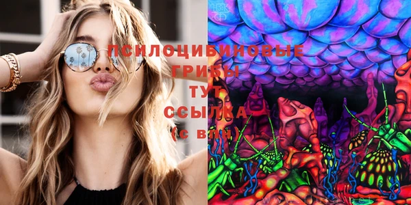 mix Новодвинск