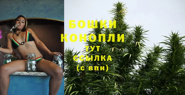 мяу мяу мука Новокубанск