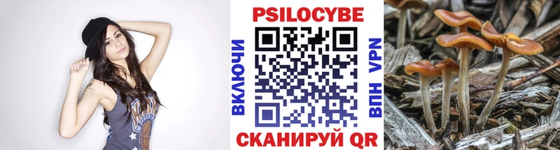 Псилоцибиновые грибы ЛСД  Закаменск 