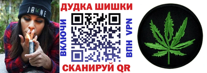 купить наркотик  Закаменск  Бошки Шишки ГИДРОПОН 